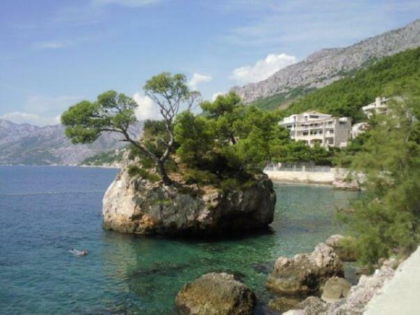Apartment & Rooms Laura Brela Εξωτερικό φωτογραφία